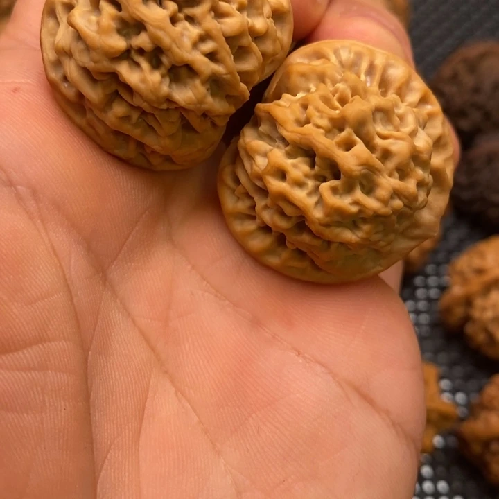 高****秦岭赵赵文玩 秦闷34毕业