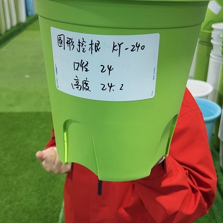 正品圆控口24高24果绿无托8只