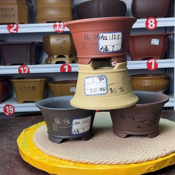 花盆紫砂蛇年大吉