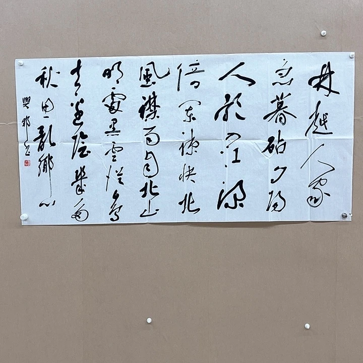书法沈兴邦138*68㎝浙江***