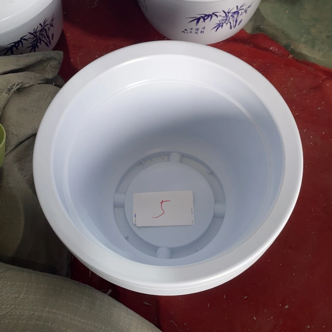 编号是5号的5号的