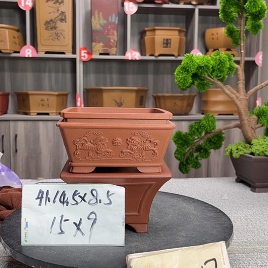 紫砂花盆紫砂花开