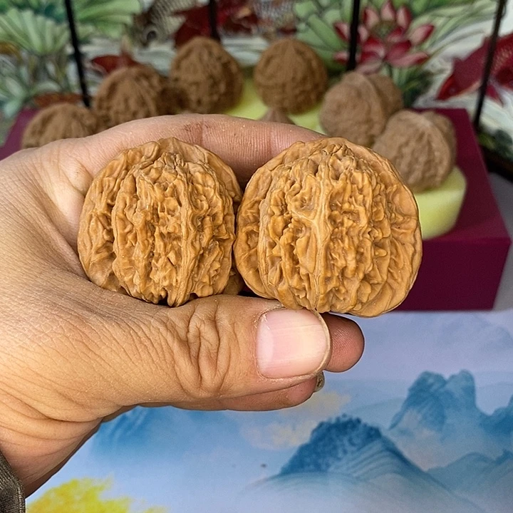 全品无修四座楼标配