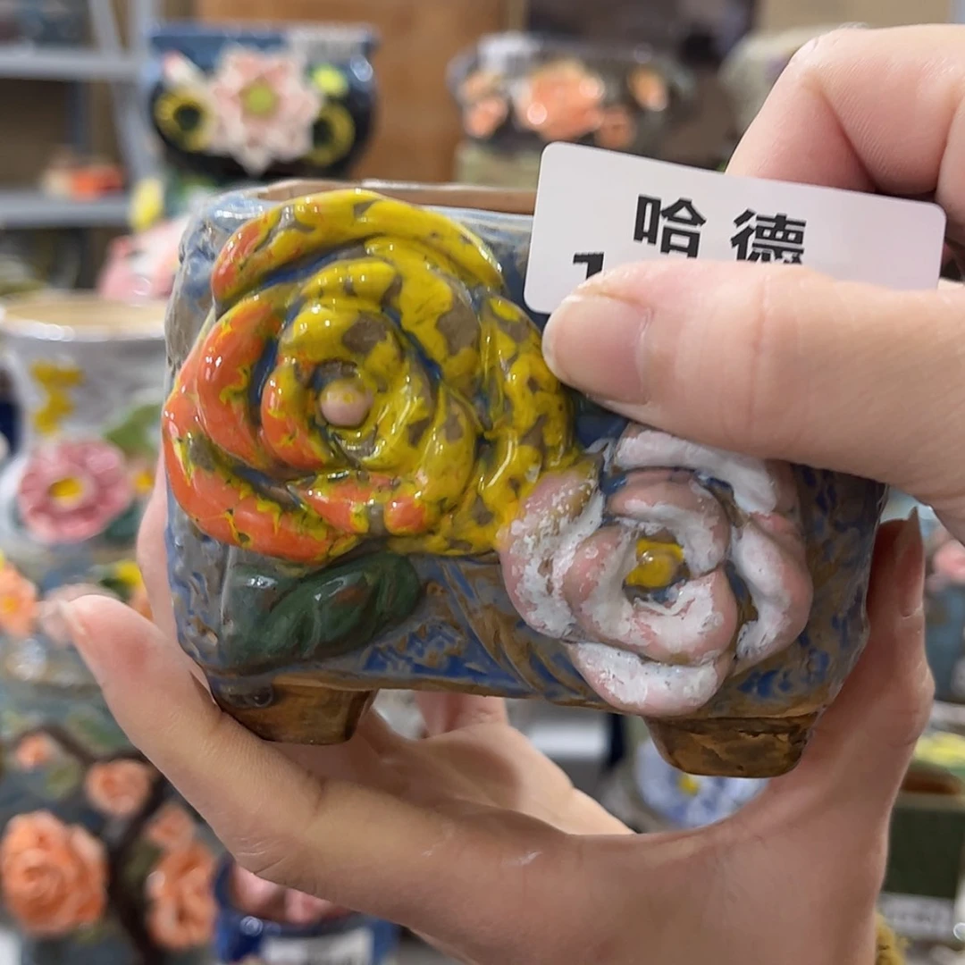 【闪购商品】红陶1412