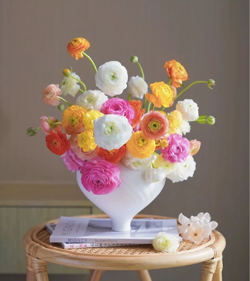 洋牡丹 Chinese peony 仙女下凡