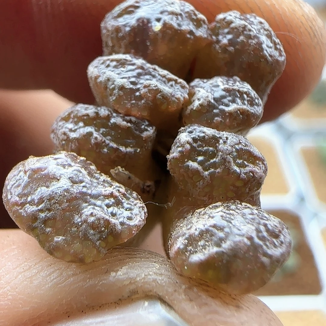 哈哈哈哈哈哈哈47490