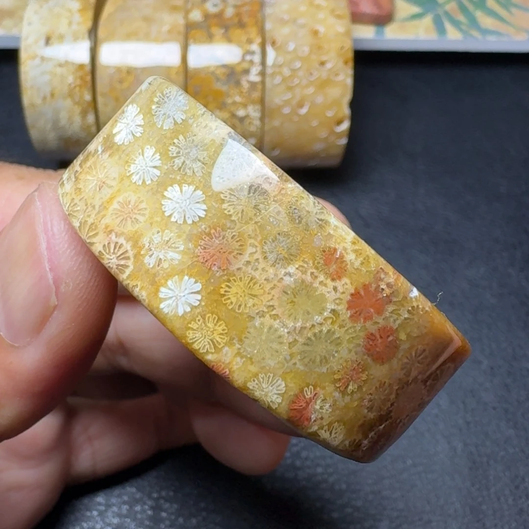 硅化玉手镯芯未镶嵌