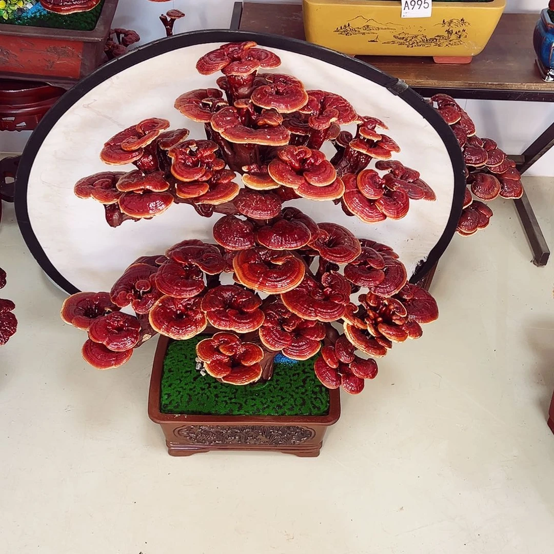 【闪购商品】全部花朵