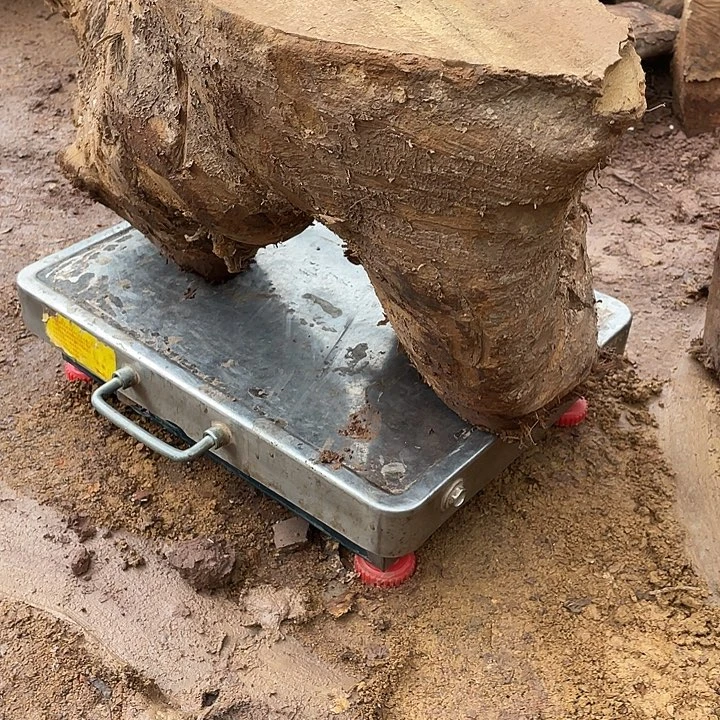 阿祥木业 一物一拍