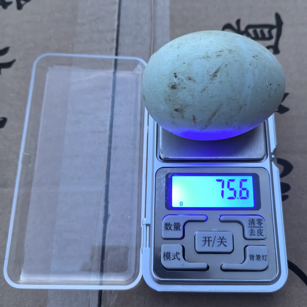 农家散养新鲜土鸭蛋鲜鸭蛋生鸭蛋绿壳红心无腥味可腌制食用