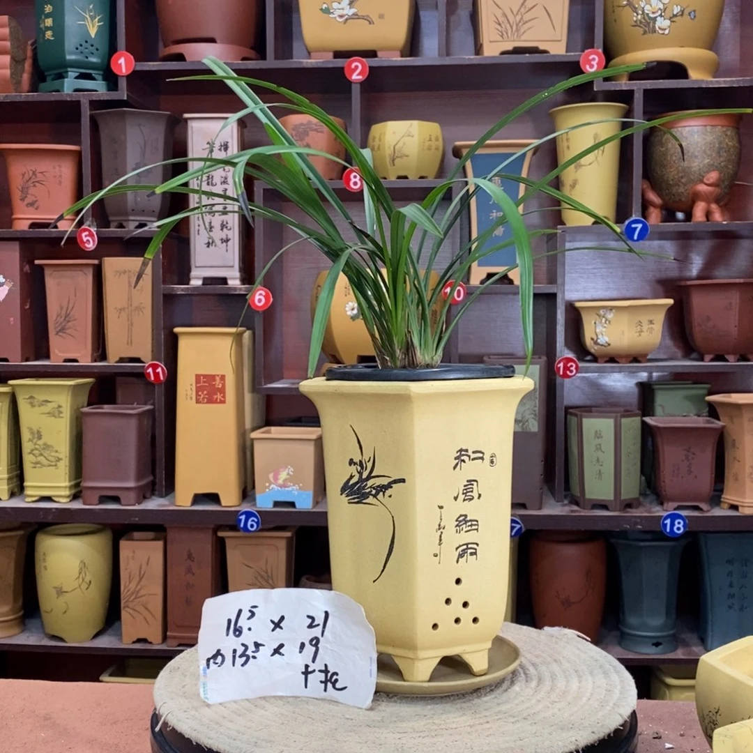 紫砂艺术紫砂花盆