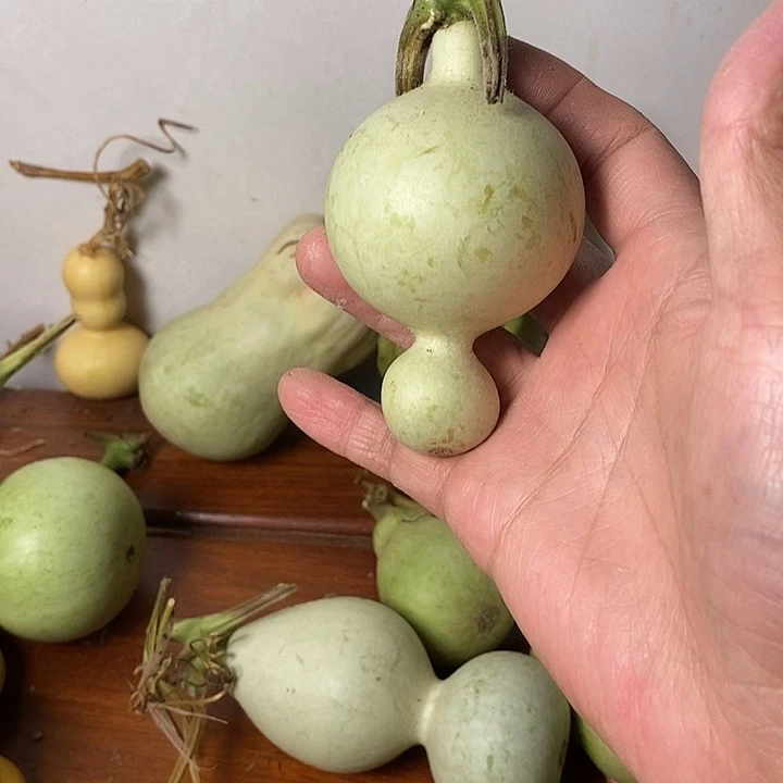 用***8青皮葫芦小手把件