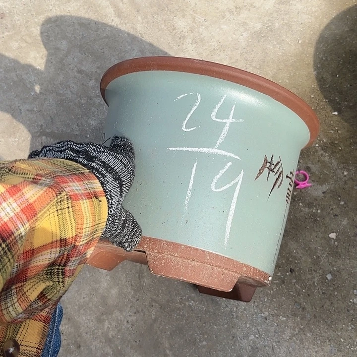 紫砂花瓶紫砂的味道