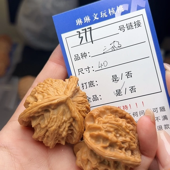 文玩核桃吊坠核桃树377