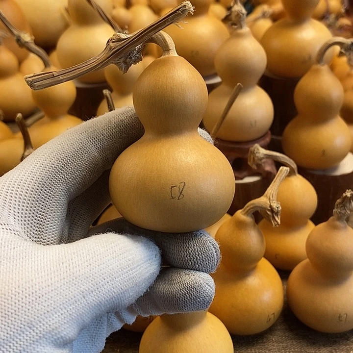 文玩葫芦 完美主义者 慎拍58