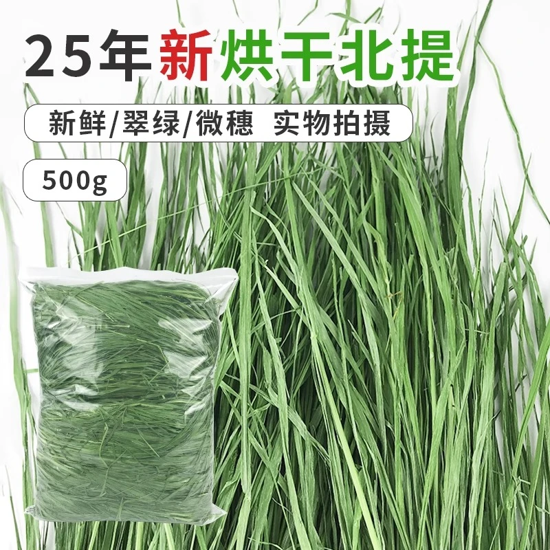 2025年新烘干提摩西草烘干提草北提500g 兔子豚鼠龙猫干草牧草