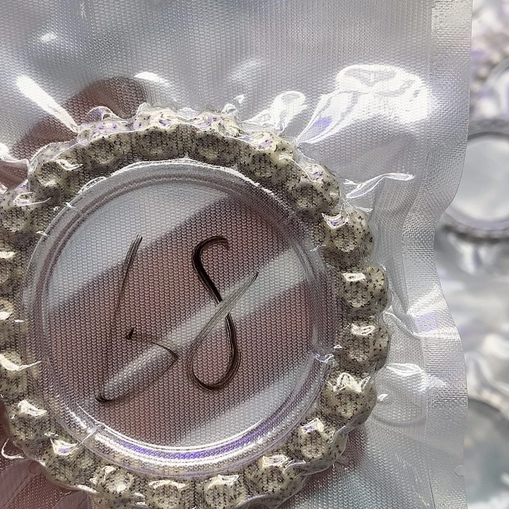 星月菩提把件星月