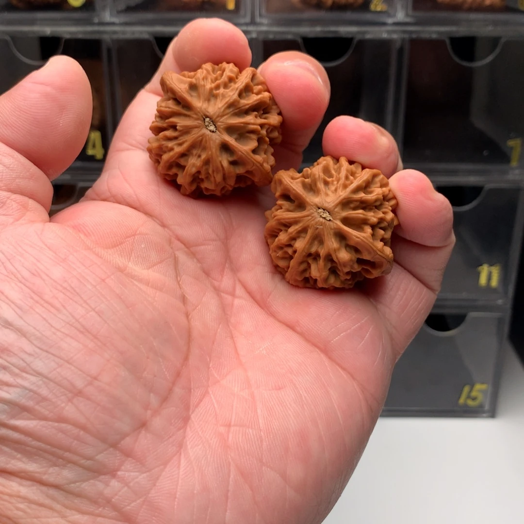 五***萬吊坠桃核文玩核桃123456