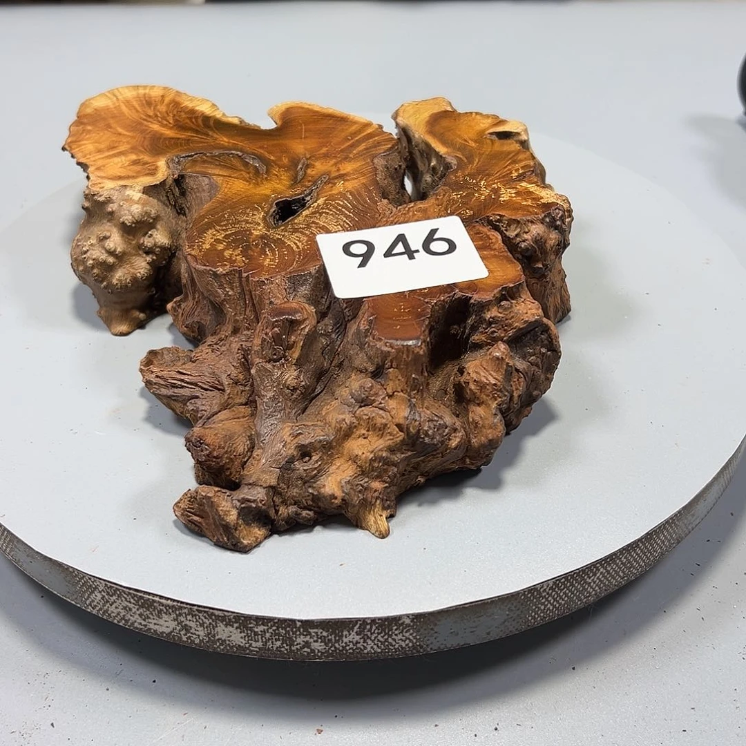 大果紫檀（缅甸花梨）@****@