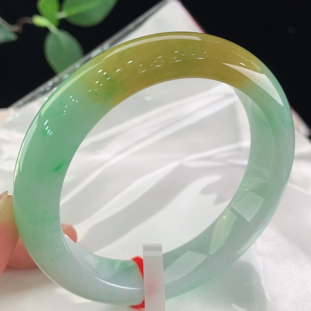 未镶嵌手镯翡翠0299