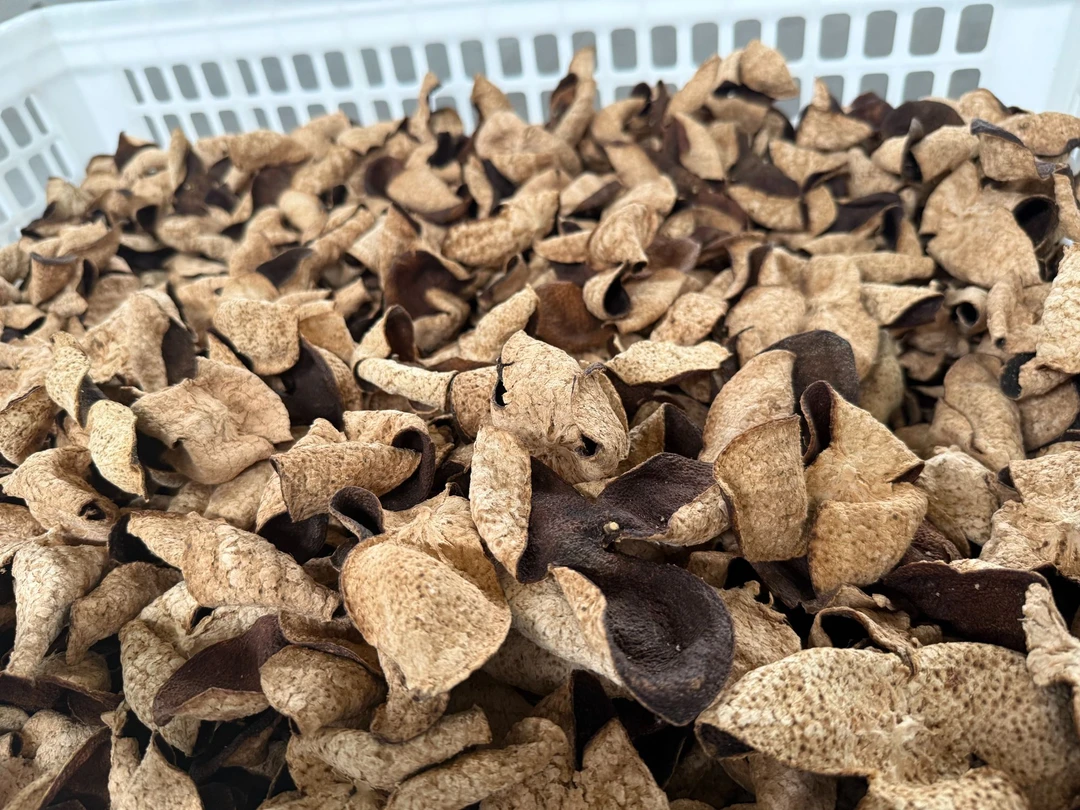 2019年新会陈皮天马核心产区驳枝陈皮