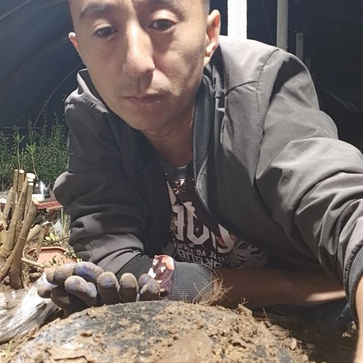 无花朵强力生根剂厉害的