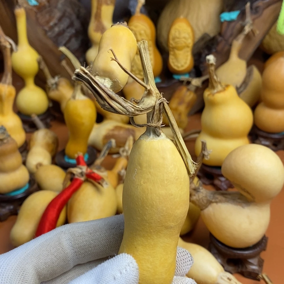 佛***人啦啦教练咯教练咯教练咯