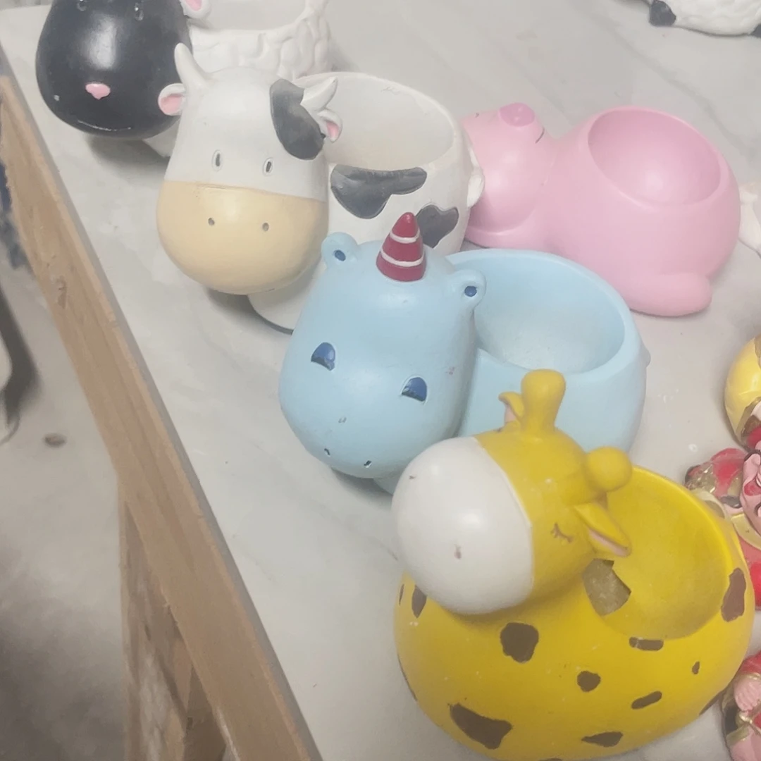 小多肉4件套1111111111