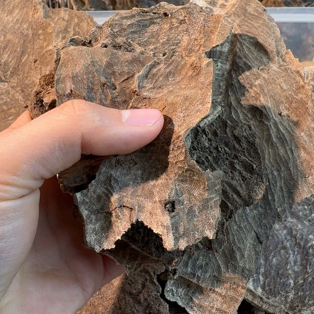 沉香沉香碎屑深圳老头一份打包50