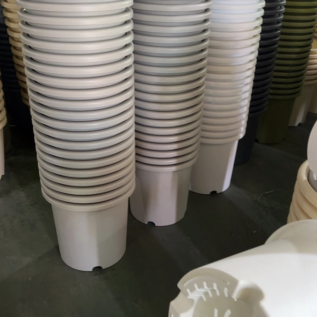 树脂四季8号无托5个颜色留言