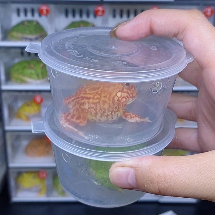 特价秒杀现货特价