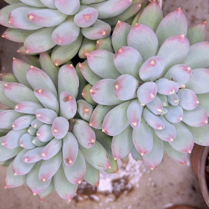 弥***资850////////////////////