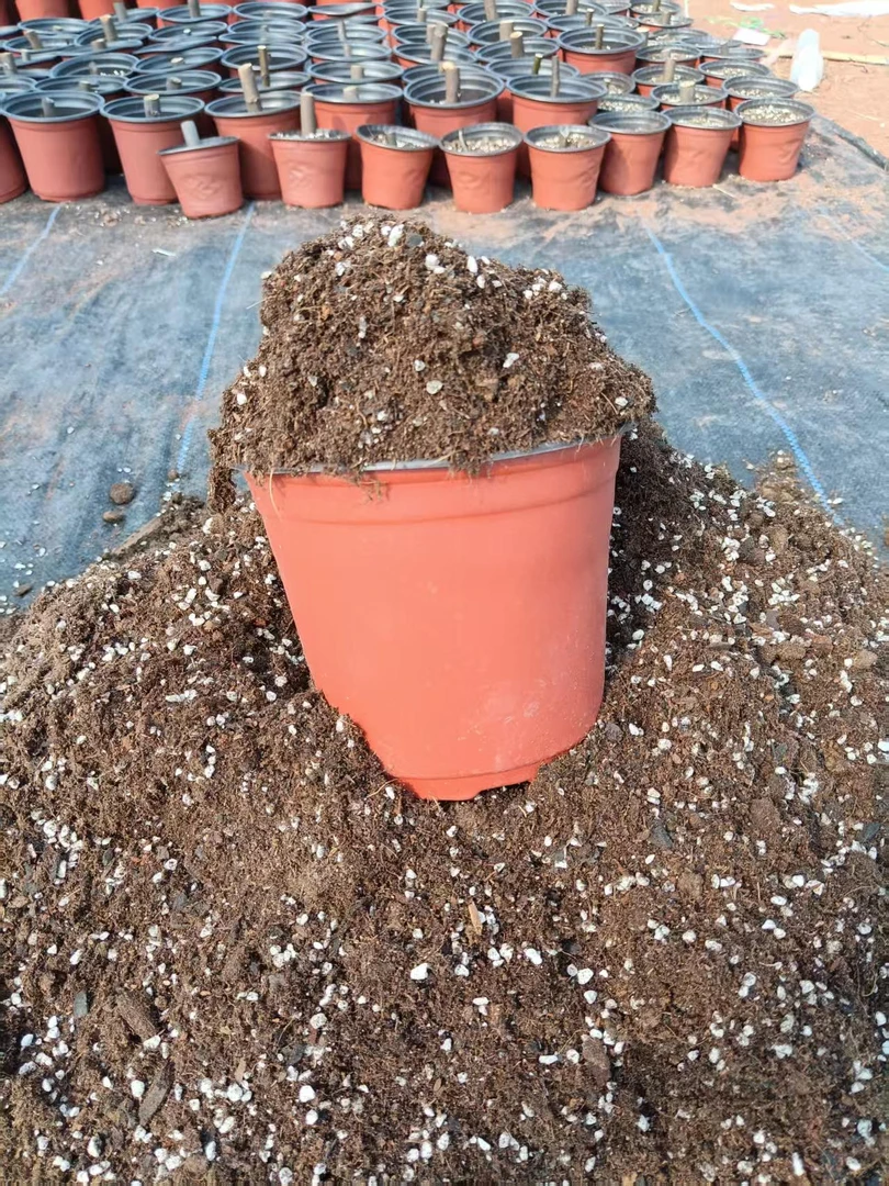 无花果专用营养基质土