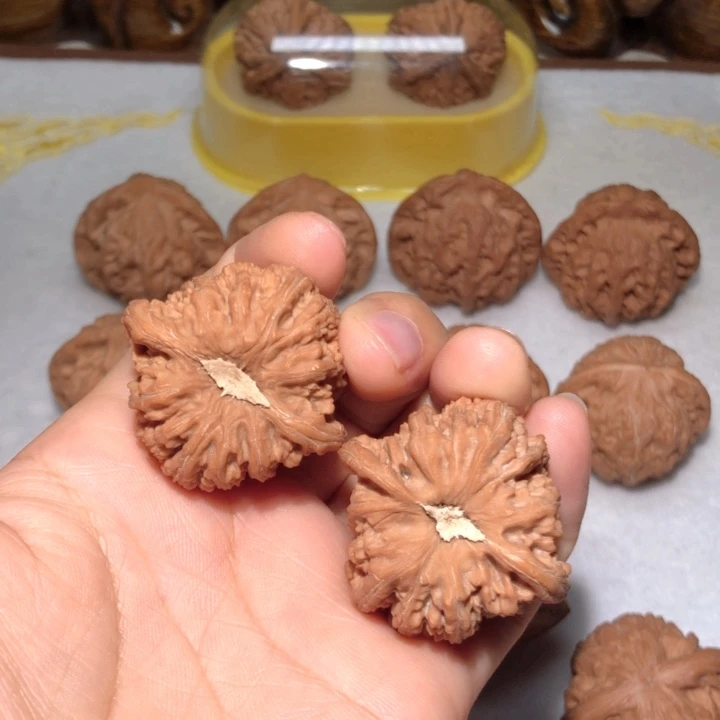 文玩核桃把件37.5密纹