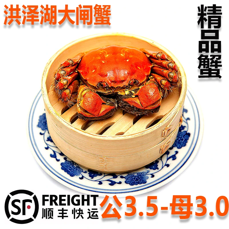 【活蟹】江苏大闸蟹 母3.0两 /公3.5两/10只组合装  顺丰包邮