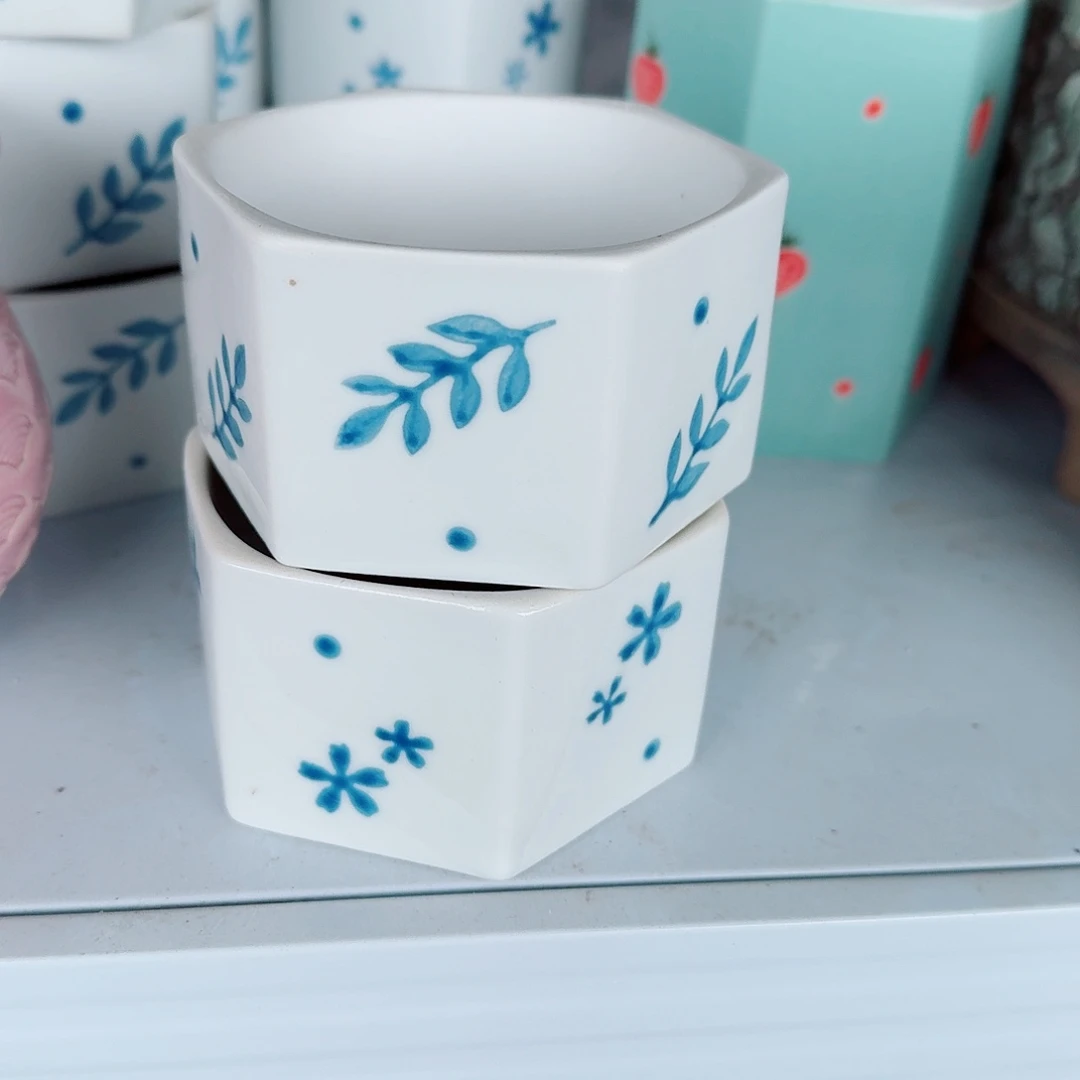 两个六角花盆多肉