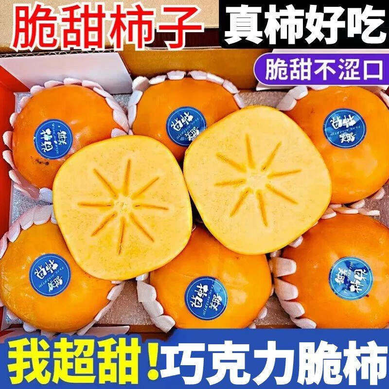 正宗云南巧克力脆柿子新鲜当季现摘水果硬柿子冰糖心柿子整箱现货