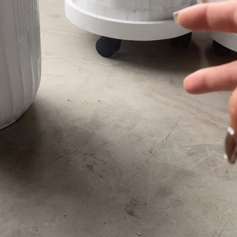 360白色万向轮拖（2个）