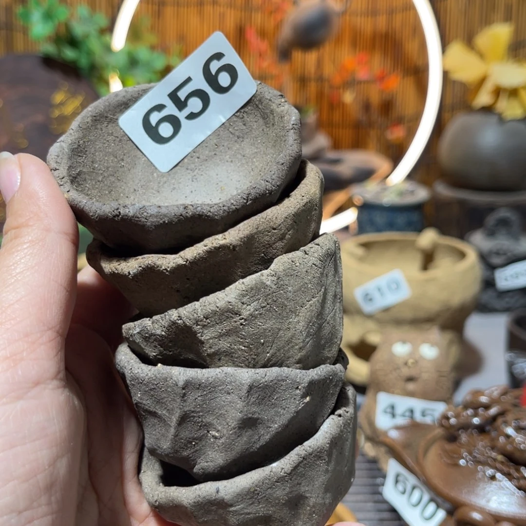 木村信弘柴烧保平