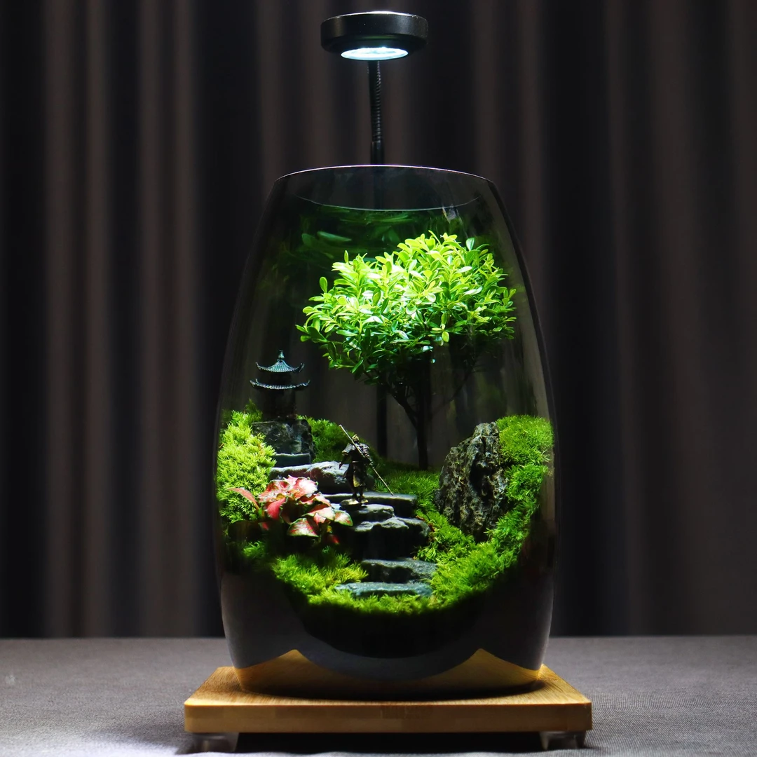 青苔壹品【成功之路】爆款创意桌面绿植微景观室内盆景高端摆件礼物