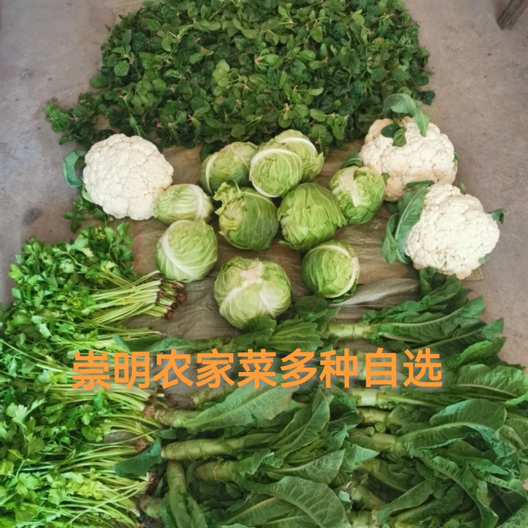 农家菜混搭 崇明本地新鲜蔬菜随机搭配时令蔬菜江浙沪皖顺丰包邮