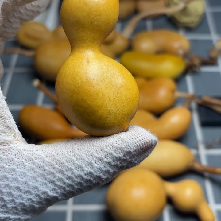 弔***️裂6666666666666666