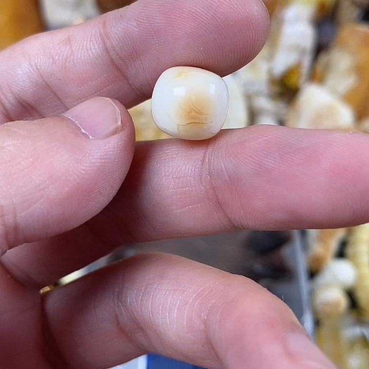 未镶嵌琥珀裸石我