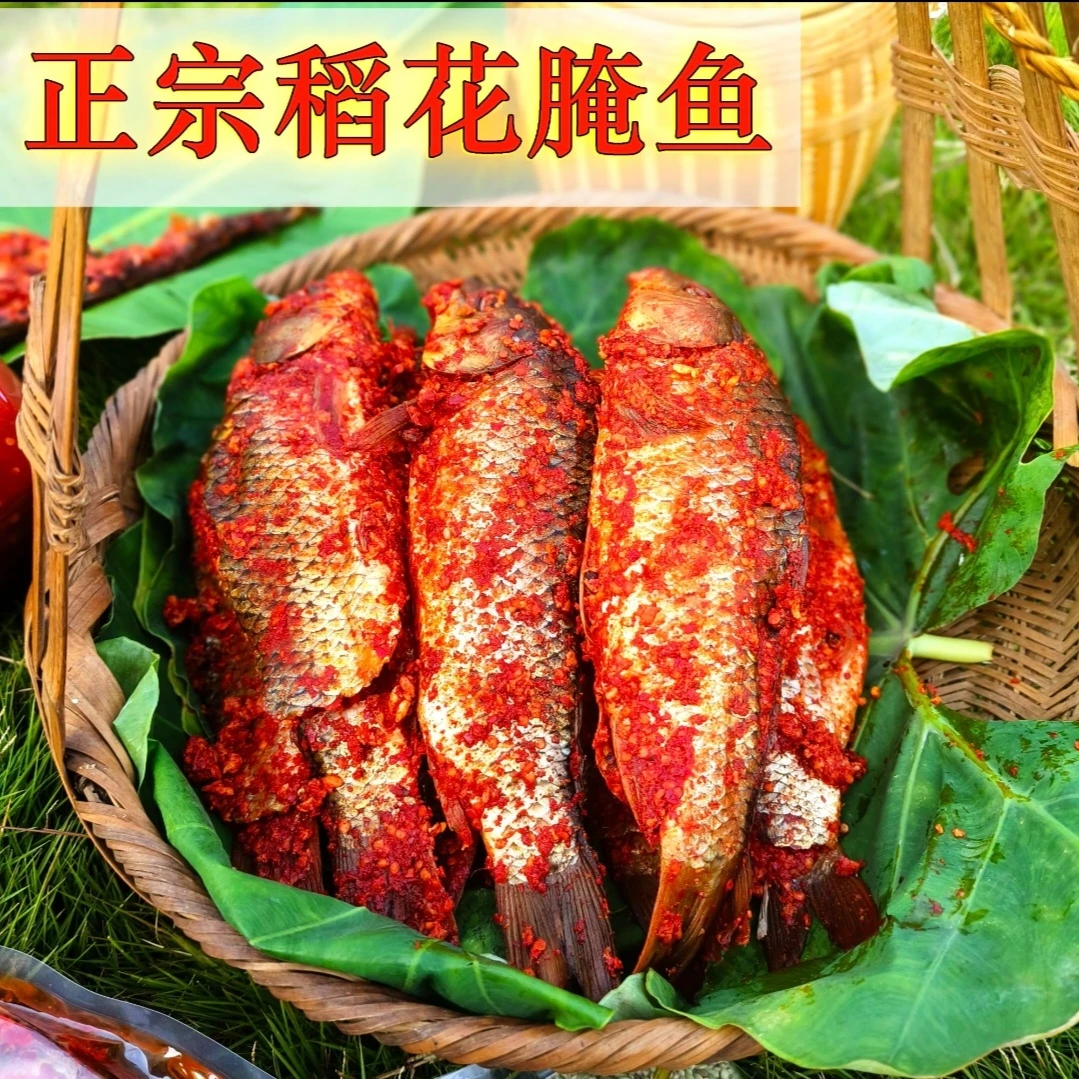贵州特产黎从榕腌鱼稻花鱼手工腌制本地美食腌鱼
