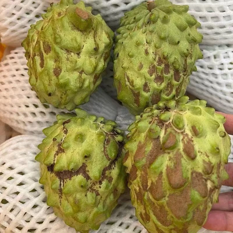 【大果花果】天子集花蜜迦4斤 （单果5两到7两）  顺丰包邮