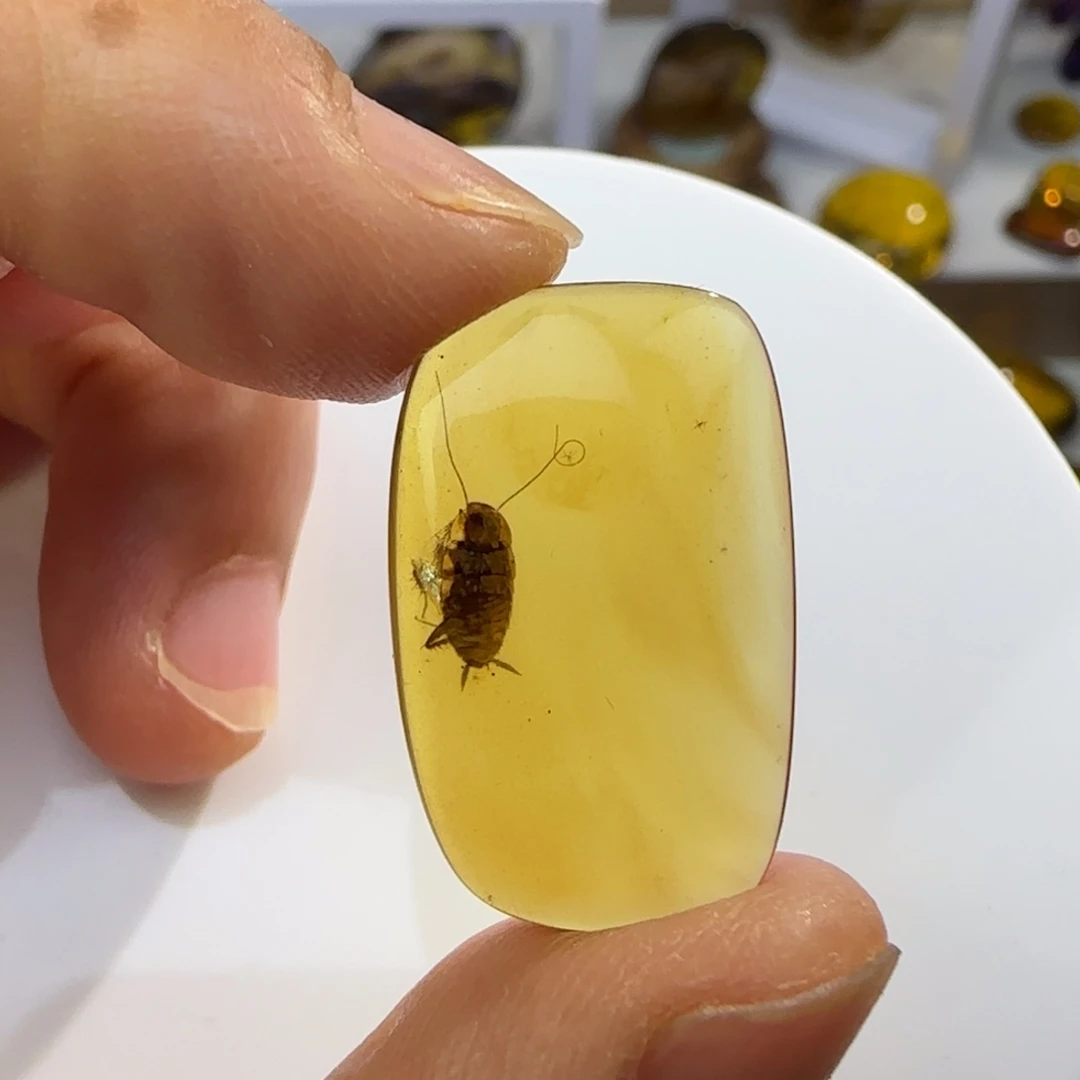 用***6未镶嵌琥珀裸石虫珀标本