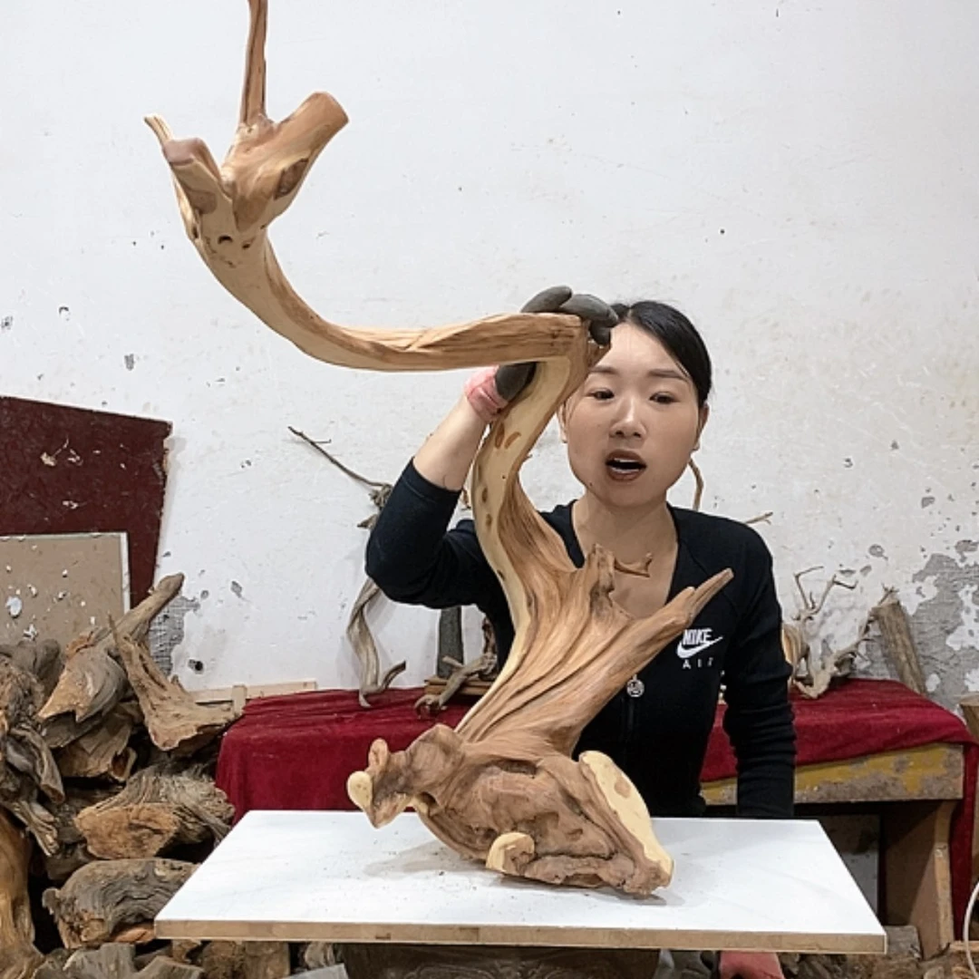 【闪购商品】柏木英**陈我们都是好孩子