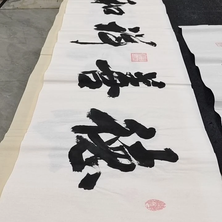 翰墨申国栋老师作品