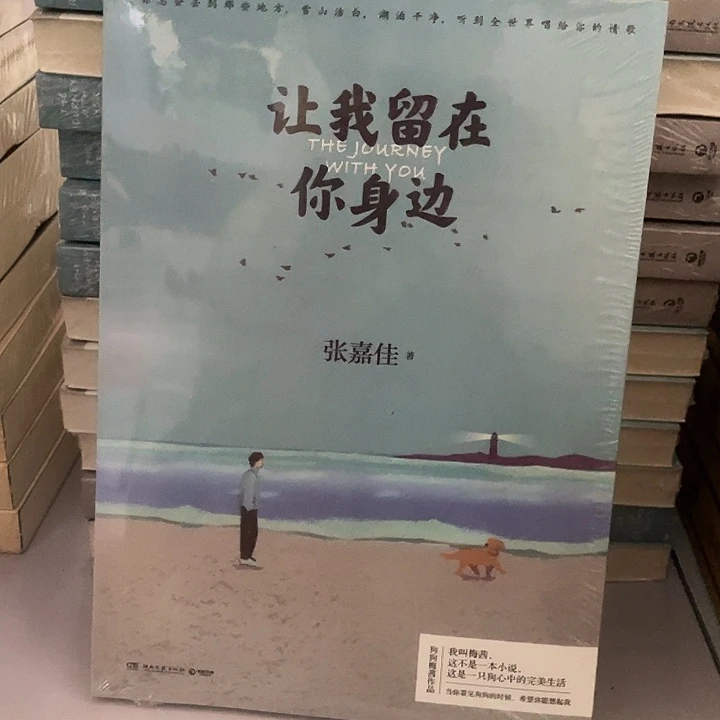 让我留在你身边 平装带塑封