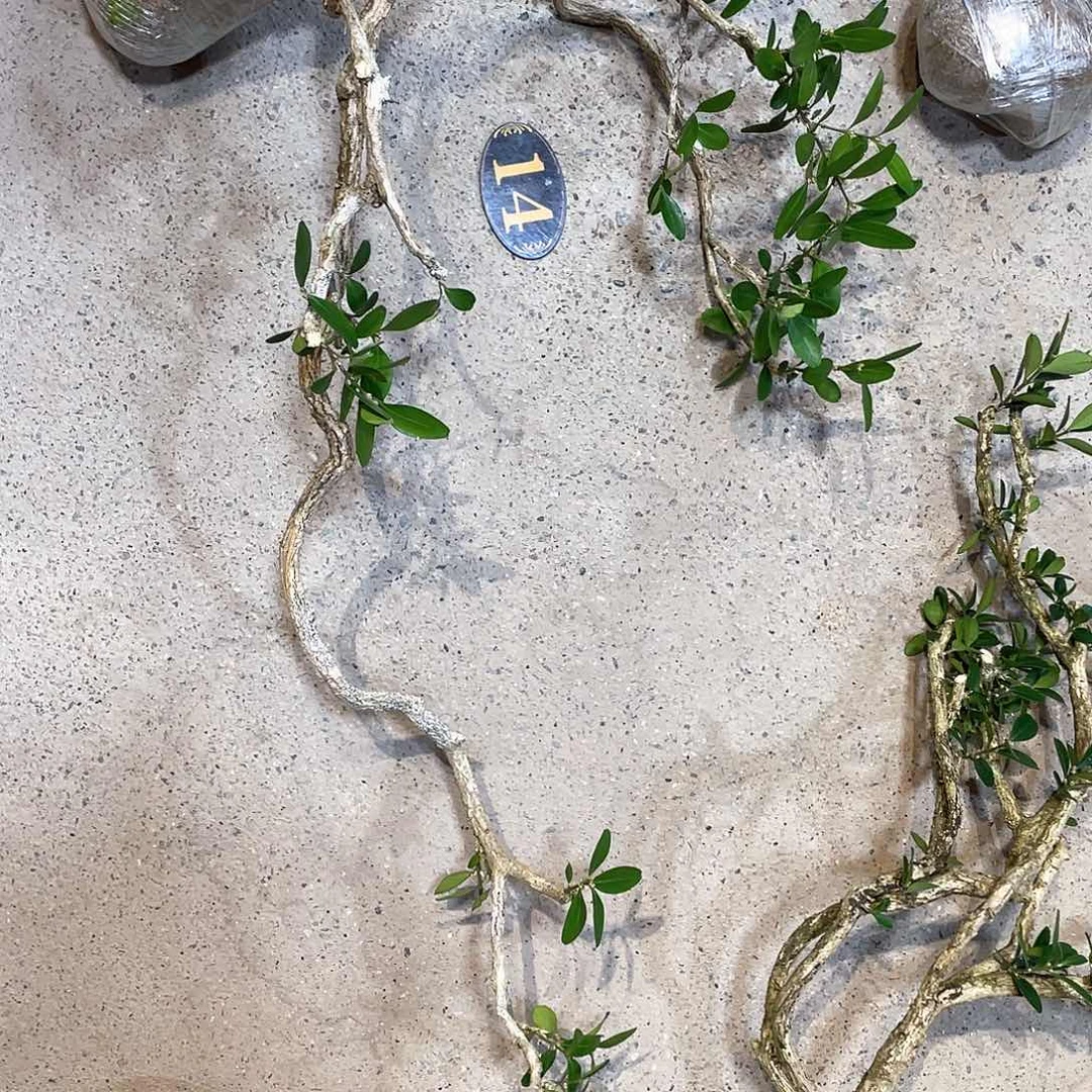 嚰*一起为梦想而加油啊